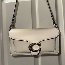Tabby Coach Bag