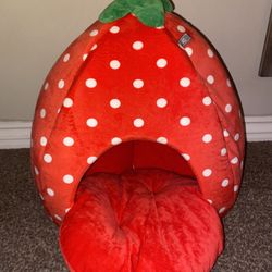 ANDOG Insta Fun Specialty Dog and Cat Bed Collection (Strawberry)