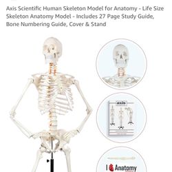 Scientific Skelton