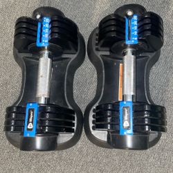Adjustable Dumbbells 