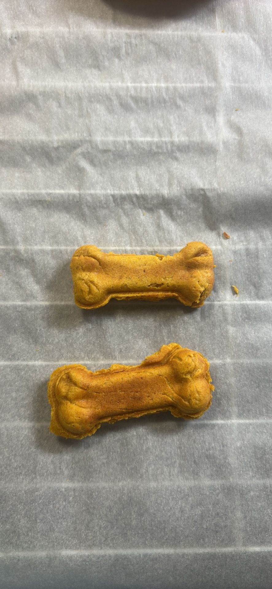 Homemade Dog Treats