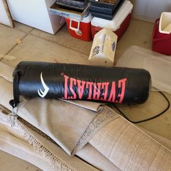 EverLast Punching Bag