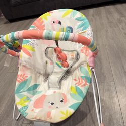 Baby Bouncer 