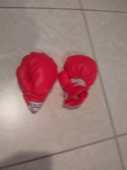 Everlast Boxing Gloves