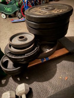 Barbell plates (45s and 35s)