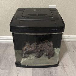 11 gallon saltwater tank