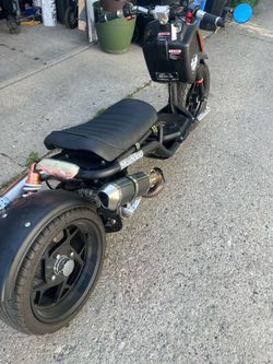 Scooter maddoog