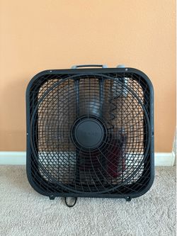 Fan