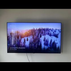 Samsung Smart TV With Mountain 