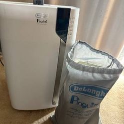 Pinguino Arctic Whisper Portable Air Conditioner, 700 sq. ft.