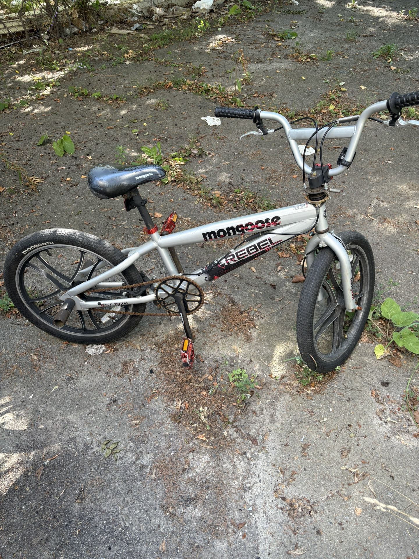 Mongoose Bike