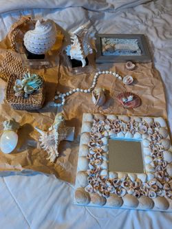 Seashell decor lot