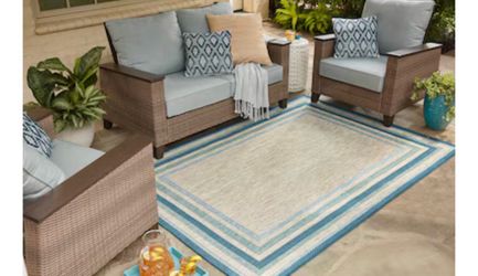 Allen + Roth 8x10 Indoor/Outdoor Rug with Stain Master