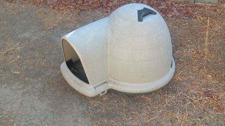Dog or Cat Egloo House
