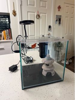 4 Gallon Nano Fish Tank