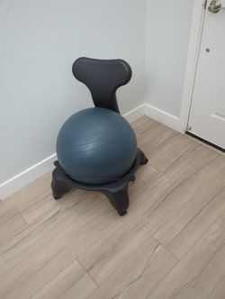 Balance Ball Chair