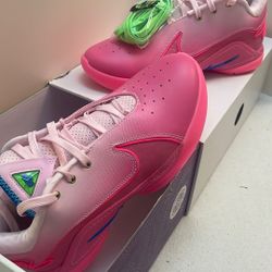 Lebron Promise 22s Nike