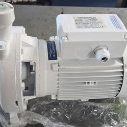 Water Pump - 50Hz 1HP