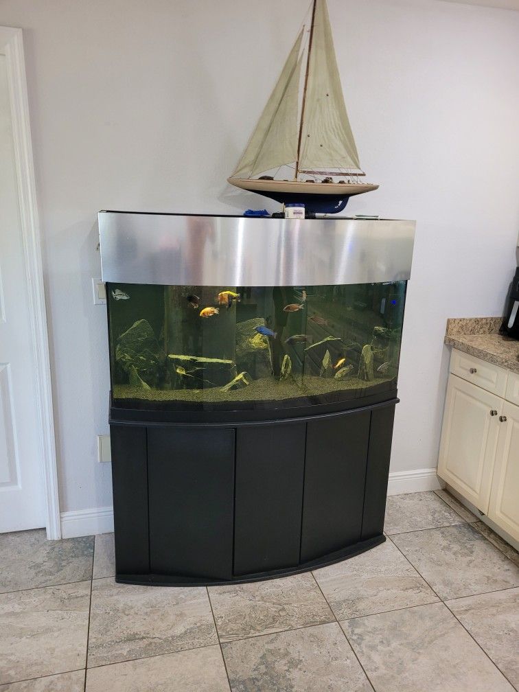 Aquarium Fish Tank
