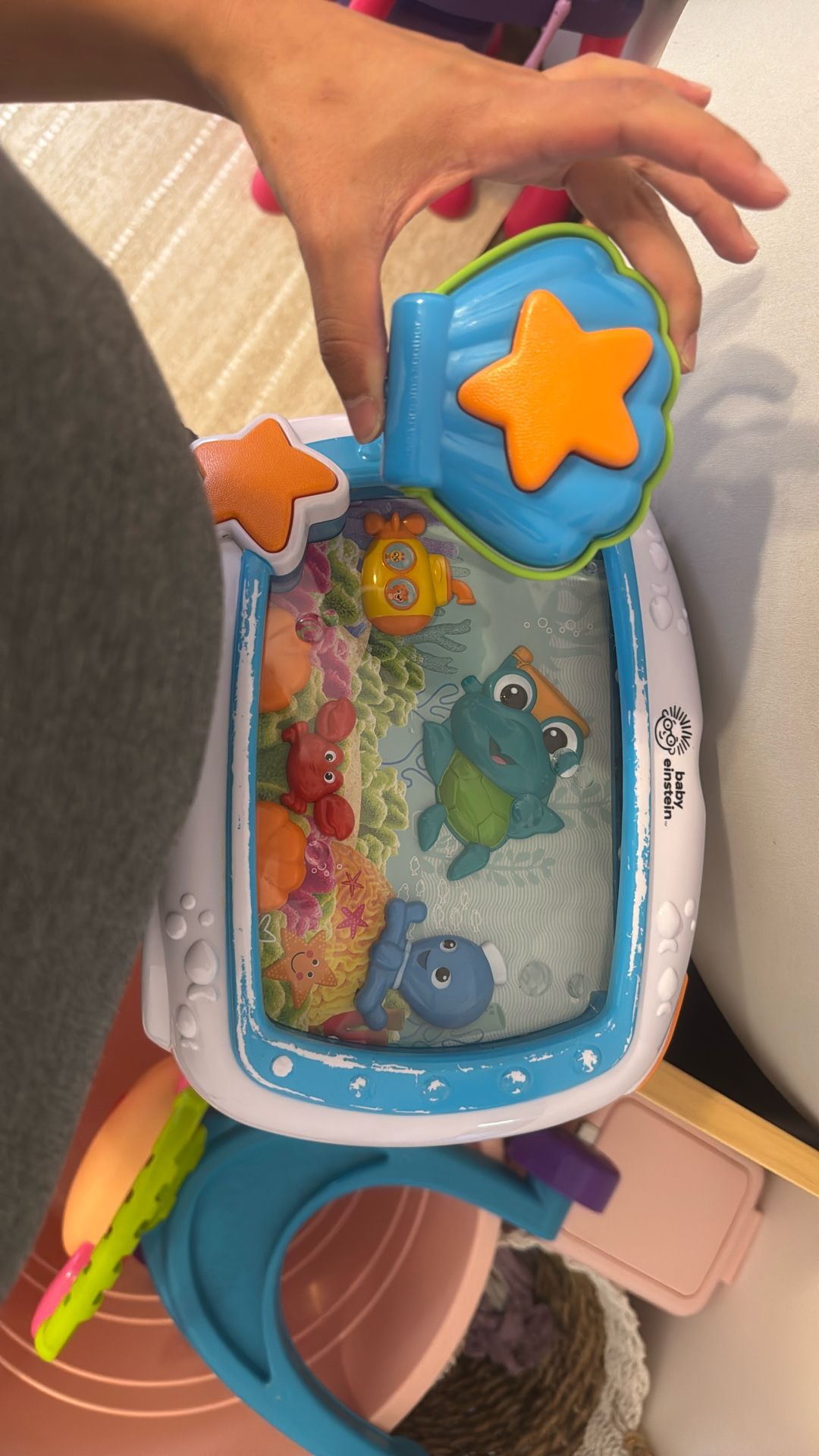 baby aquarium