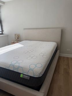 Queen Mattress and Box Spring