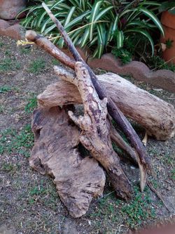 5 pieces natural driftwood for aquariums terrariums decor