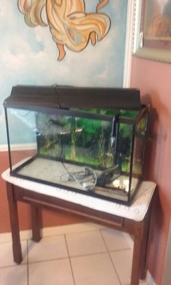 29 gallon fish tank