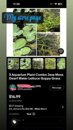Water plants