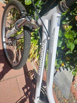 Ladies Bike