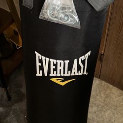 Brand New Everlast Punching Bag (filled 70lbs)