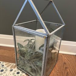 Glass Terrarium Decor 