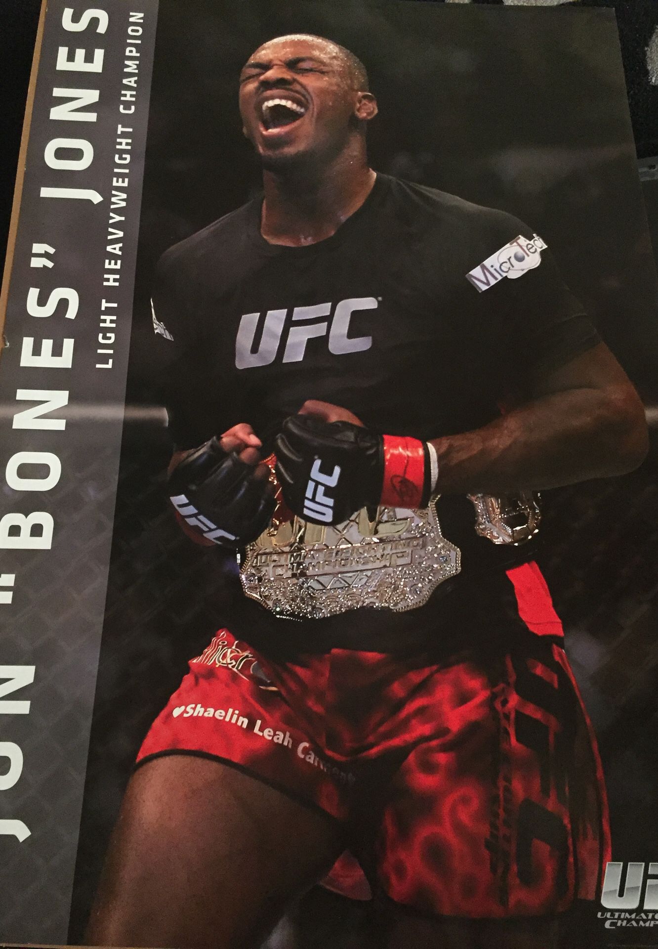UFC posters