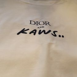 Dior Kaws