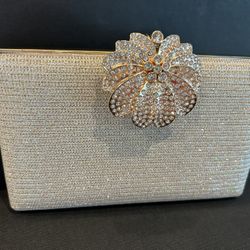 Elegant Rhinestone Clutch