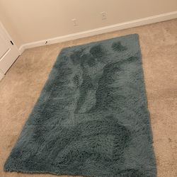 Area Rug