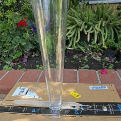 Flower GLASS Vases 
