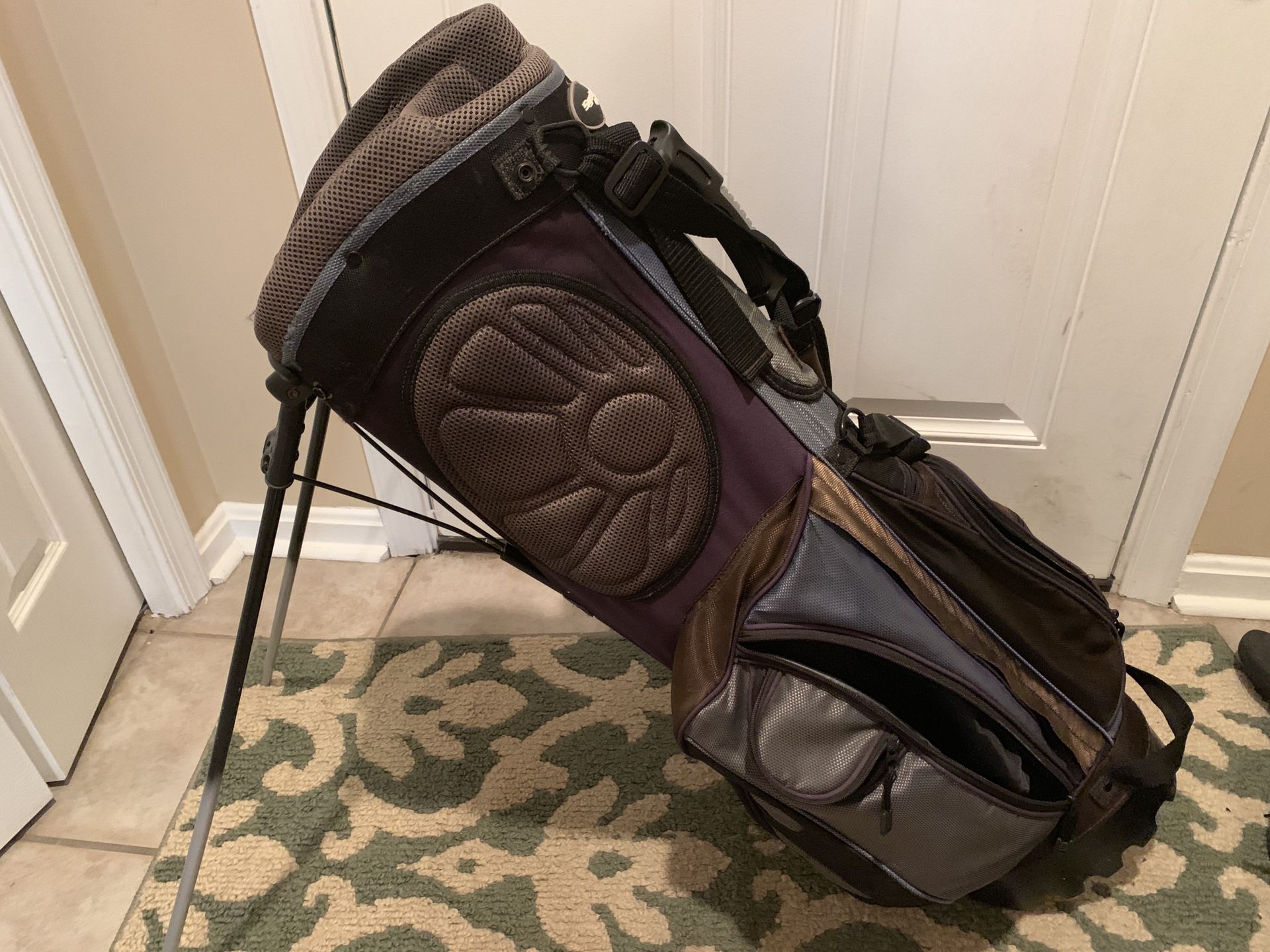 Golf Bag (stand type)