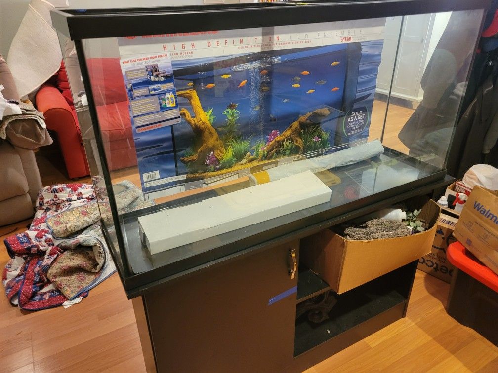 60 Gallon Aquarium With Stand