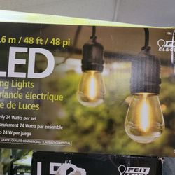 Led String Lights, $50