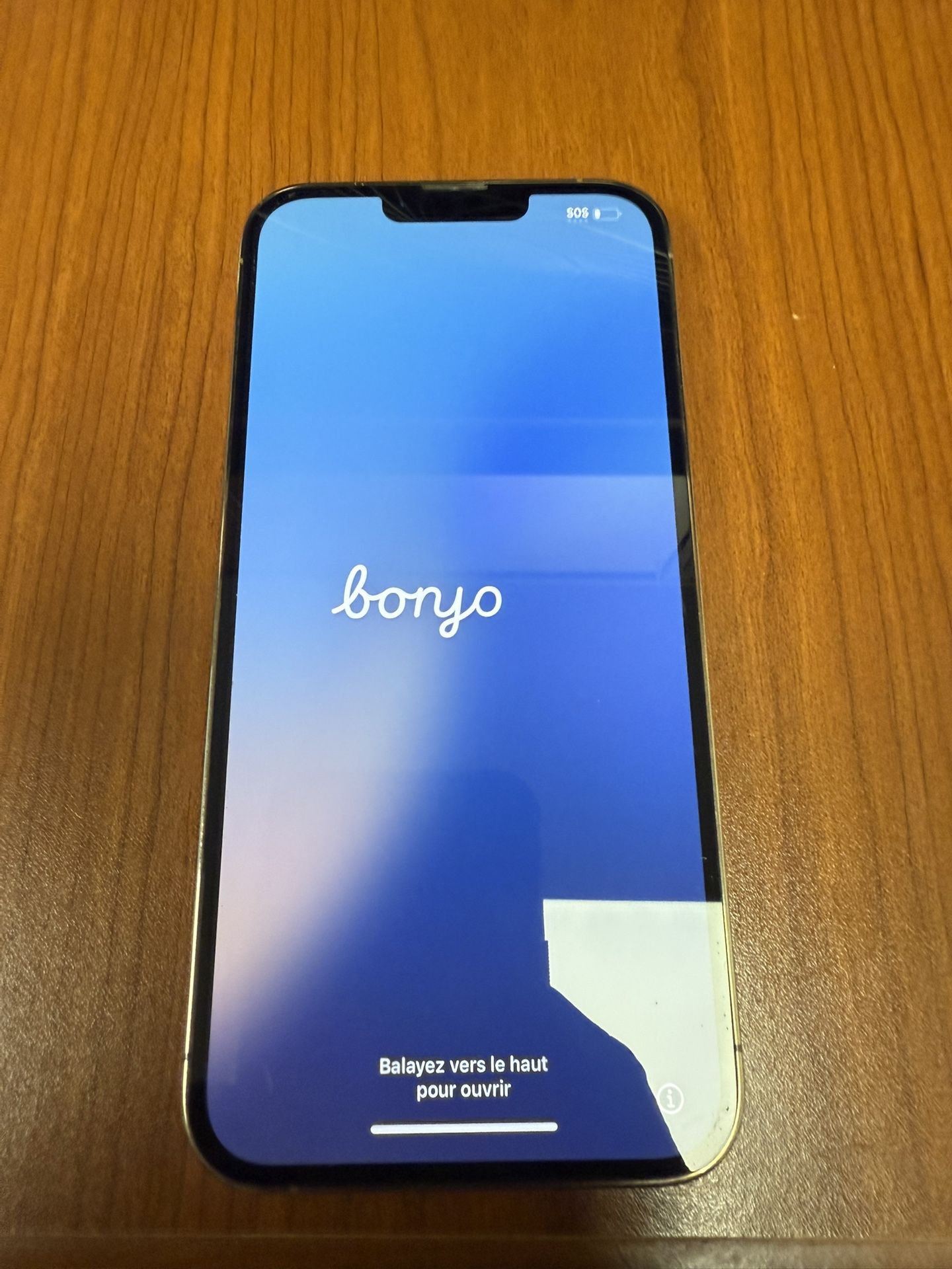 iPhone 13 Pro Max 256 Gold