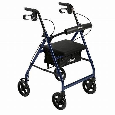 Walker With Seat