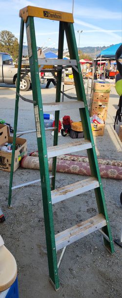Davidson 6 Ft Step Ladder!


