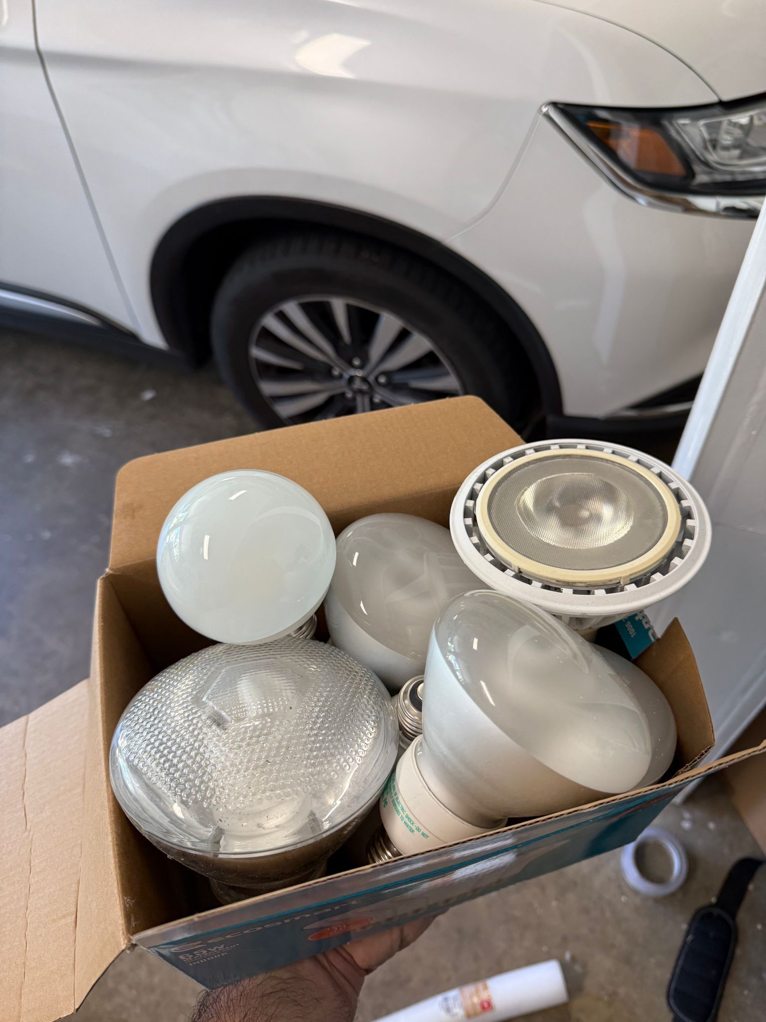 Light Bulbs