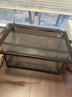 Hermit Crab Starter Kit