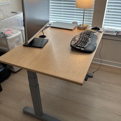 Ergo Depot Standing Desk