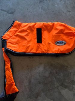 Large Dog waterproof coat