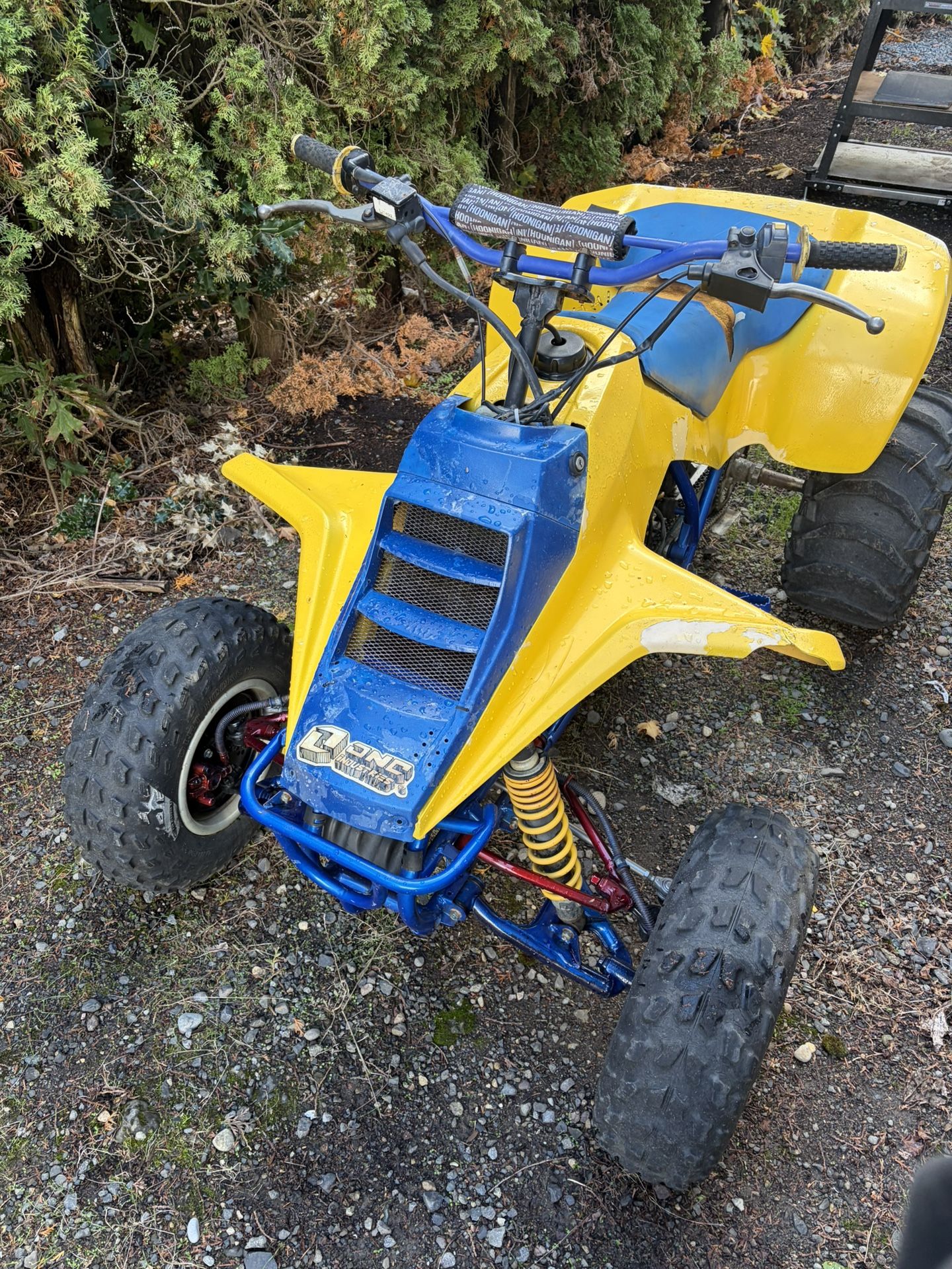 Suzuki 250 Quad 2 Stroke Firm