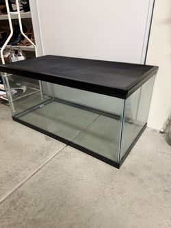 Reptile Fish Tank