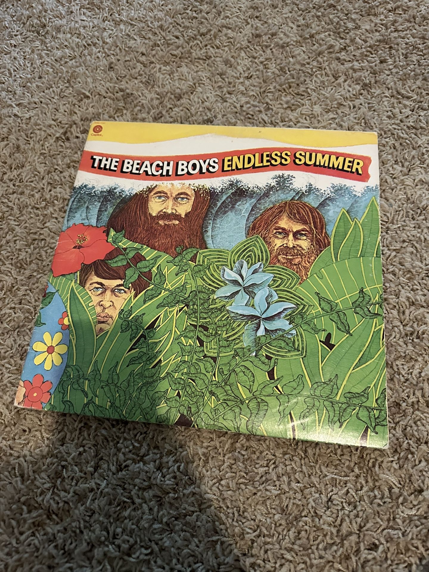 The Beach Boys Endless Summer Vinyl