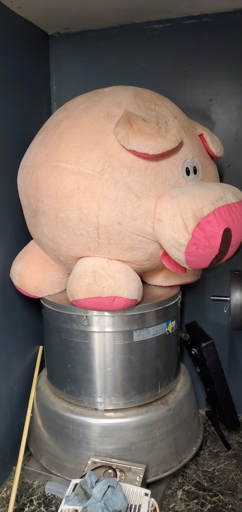 free stuffed pig